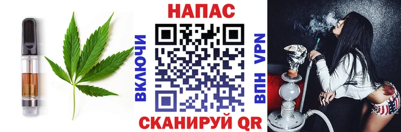 сколько стоит  Жуковка  Cannafood конопля 