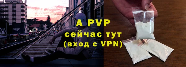 PSILOCYBIN Дедовск