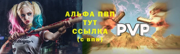 молекула духа Гусев