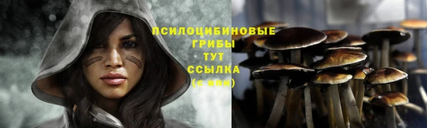 MESCALINE Гусь-Хрустальный