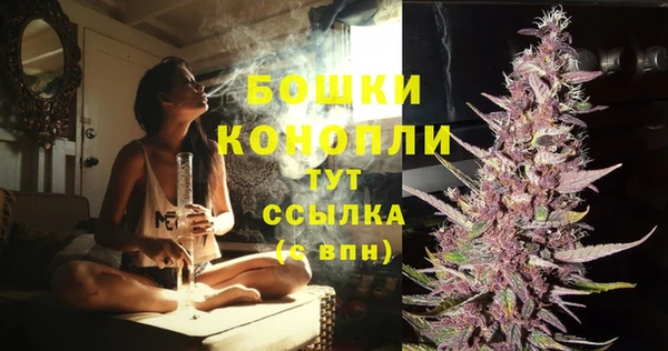 MESCALINE Гусь-Хрустальный